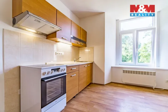 Pronájem bytu 1+kk, Vlčice, 41 m2