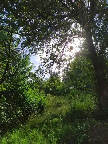 Prodej rodinného domu, Březová, 90 m2