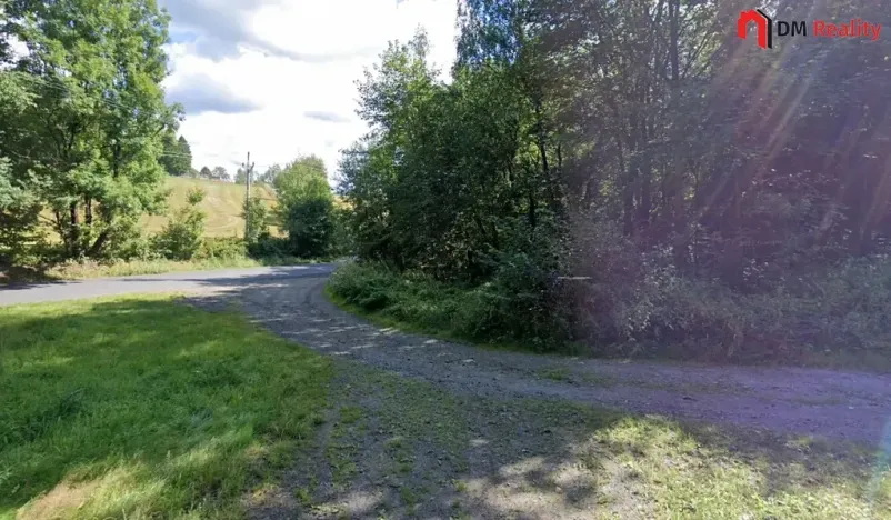 Prodej podílu lesa, Zlatá Olešnice, 574 m2