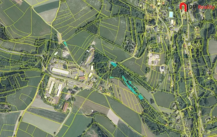 Prodej lesa, Zlatá Olešnice, 1248 m2