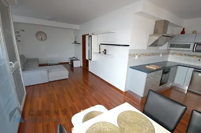 Pronájem bytu 3+kk, Liberec, Pod Rušičkou, 110 m2