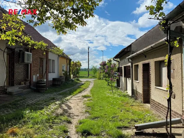 Prodej vinného sklepa, Mikulčice, 84 m2