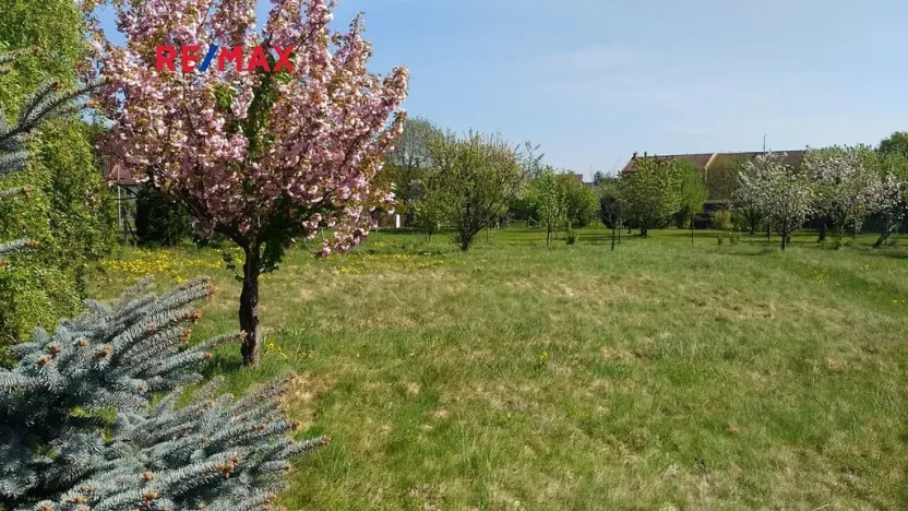 Prodej pozemku pro bydlení, Mikulovice, 1350 m2