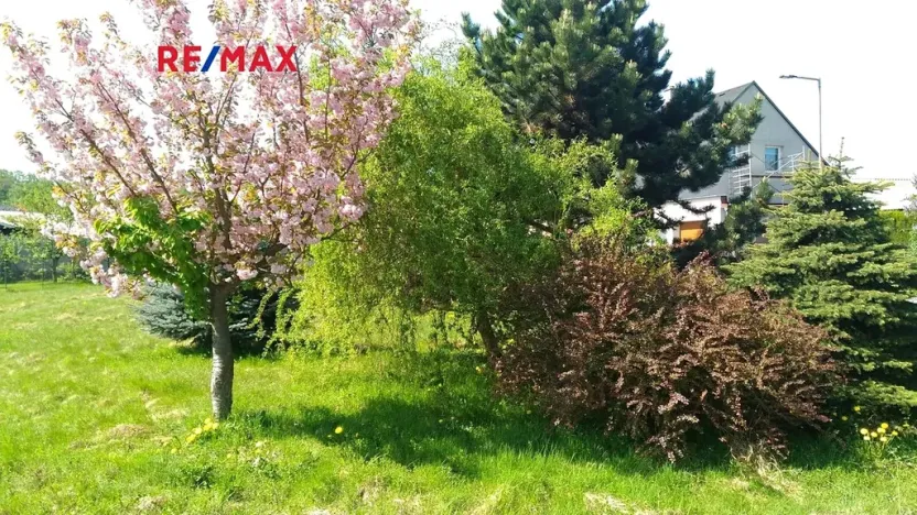 Prodej pozemku pro bydlení, Mikulovice, 1350 m2