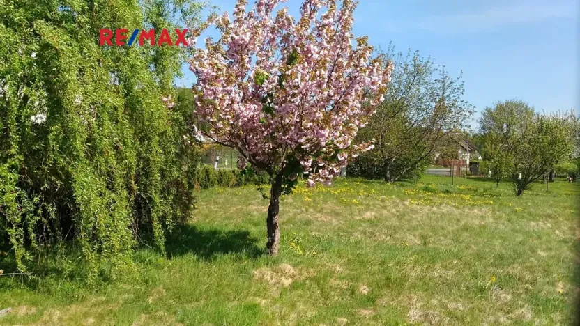 Prodej pozemku pro bydlení, Mikulovice, 1350 m2