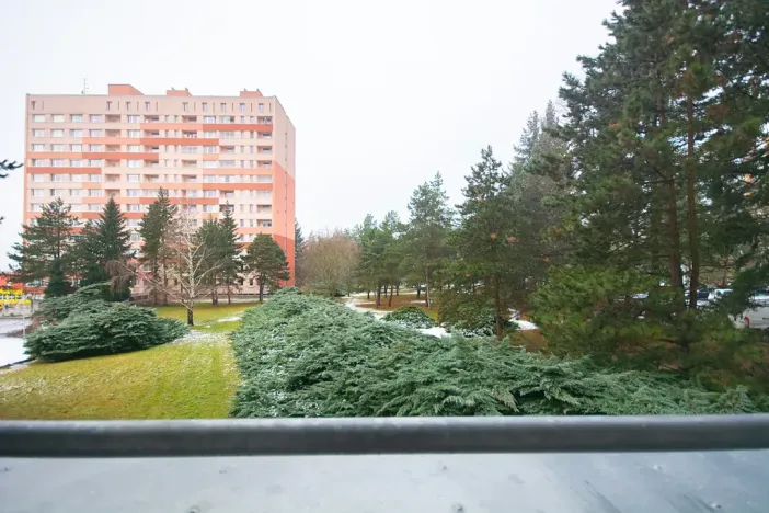 Pronájem bytu 1+1, Brno, Halasovo náměstí, 34 m2