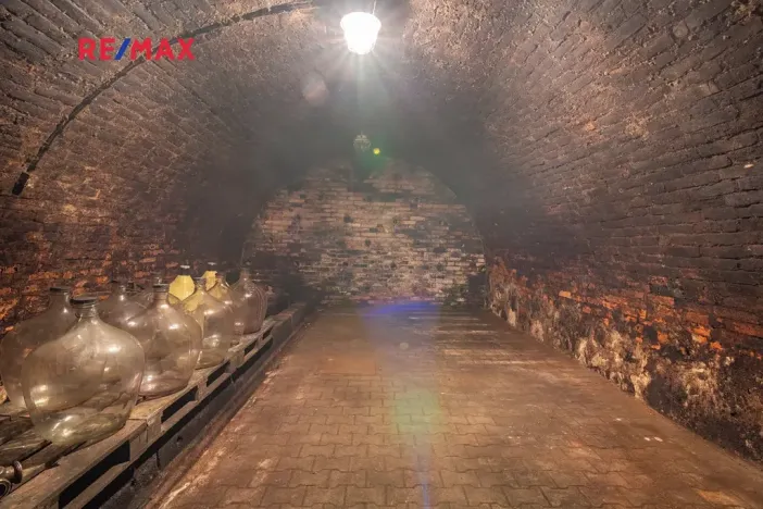 Prodej vinného sklepa, Brod nad Dyjí, 70 m2