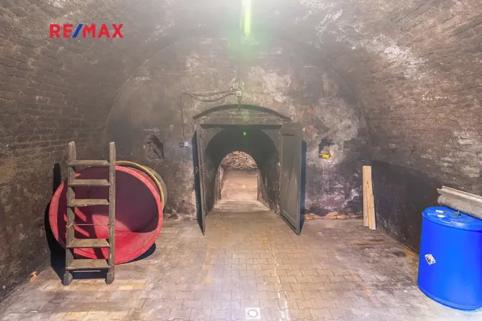 Prodej vinného sklepa, Brod nad Dyjí, 70 m2
