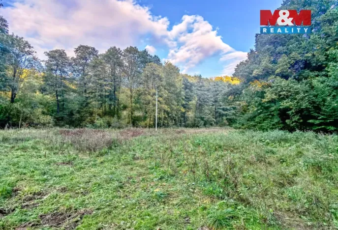 Prodej louky, Biskupice - Zálesí, 2421 m2