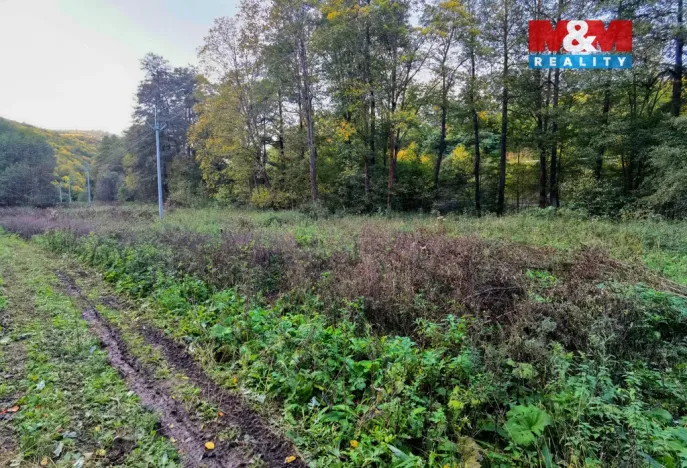 Prodej louky, Biskupice - Zálesí, 2421 m2