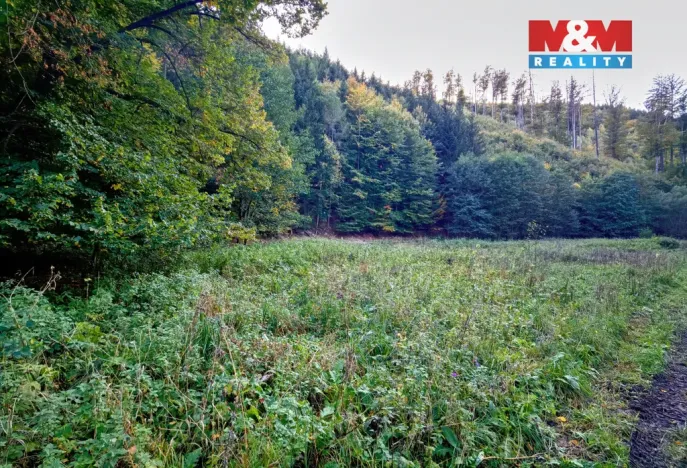 Prodej louky, Biskupice - Zálesí, 2421 m2