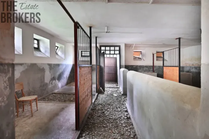 Prodej rodinného domu, Zásmuky - Vršice, 5000 m2