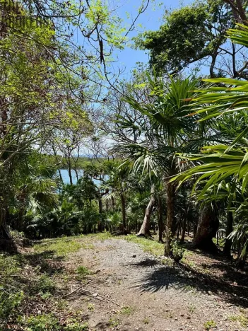Prodej pozemku, Coxen Hole, Roatán, Honduras, 1902 m2