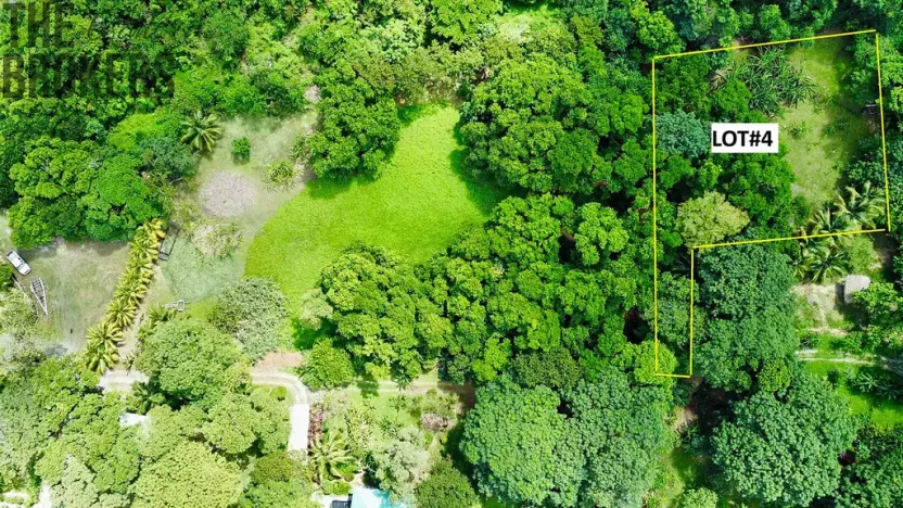 Prodej pozemku, Coxen Hole, Roatán, Honduras, 3265 m2