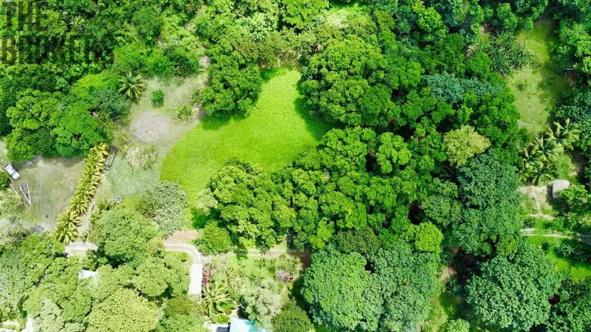 Prodej pozemku, Coxen Hole, Roatán, Honduras, 2090 m2