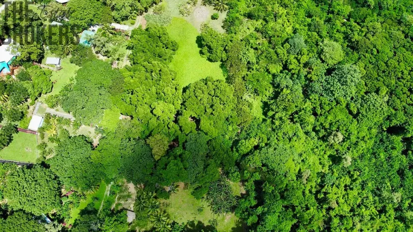 Prodej pozemku, Coxen Hole, Roatán, Honduras, 2090 m2