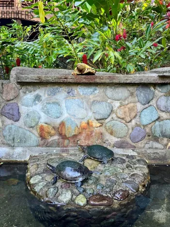 Prodej rodinného domu, La Ceiba, Honduras, 4080 m2