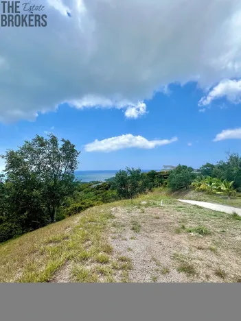 Prodej pozemku, Coxen Hole, Roatán, Honduras, 740 m2