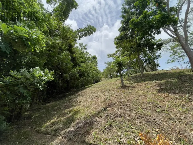 Prodej pozemku, Coxen Hole, Roatán, Honduras, 1884 m2