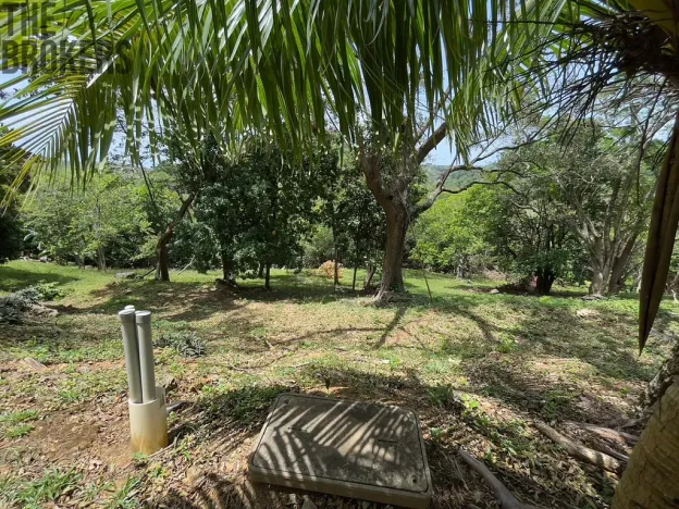 Prodej pozemku, Coxen Hole, Roatán, Honduras, 1872 m2