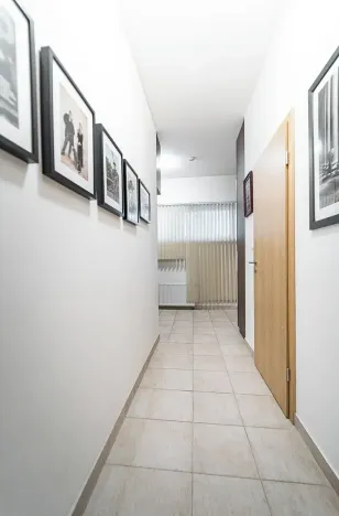 Prodej bytu 1+kk, Praha - Žižkov, U staré cihelny, 41 m2