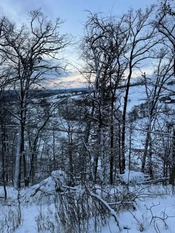 Prodej lesa, Dolní Bousov, 59634 m2