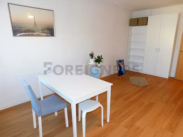 Pronájem bytu 2+kk, Plzeň, Hřímalého, 75 m2