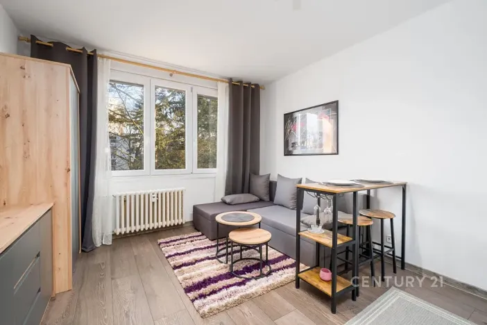 Pronájem bytu 1+kk, Ústí nad Labem, Větrná, 20 m2