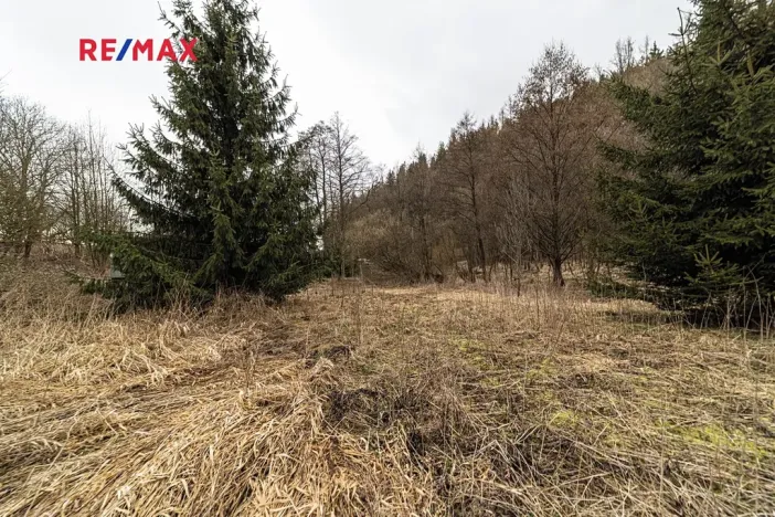 Prodej pozemku pro bydlení, Červená Voda, 949 m2