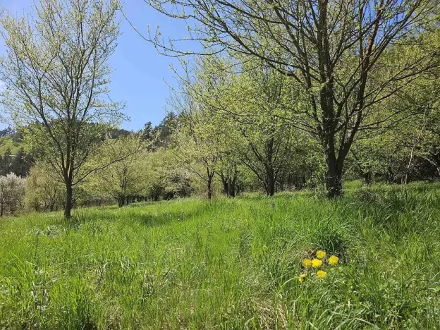 Prodej pozemku pro bydlení, Štěpánov nad Svratkou, 3802 m2