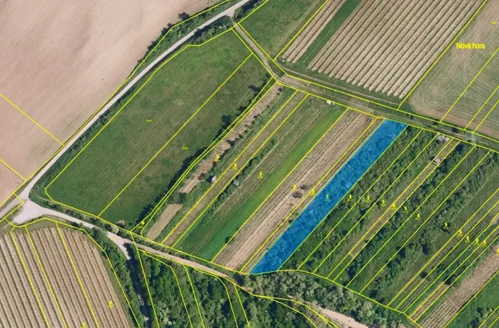 Prodej sadu/vinice, Nikolčice, 2568 m2