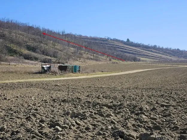 Prodej sadu/vinice, Velké Němčice, 3259 m2