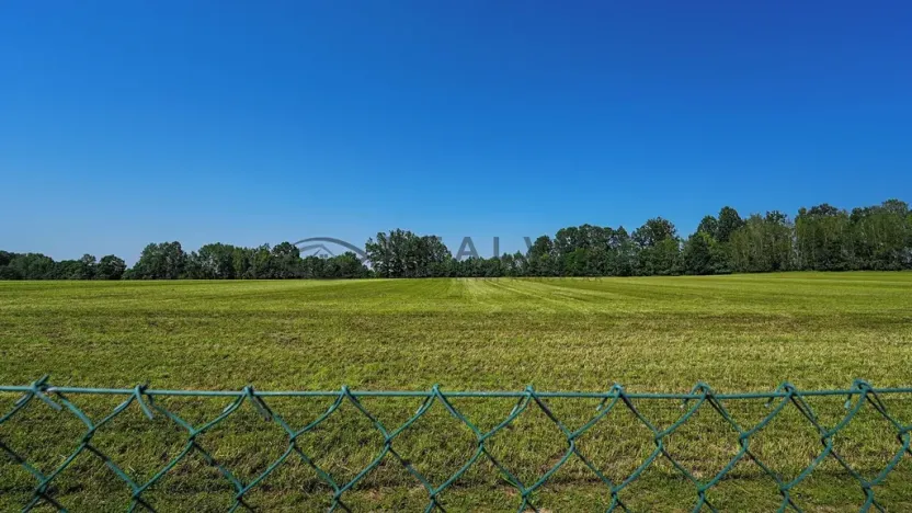 Prodej rodinného domu, Borovany, 237 m2