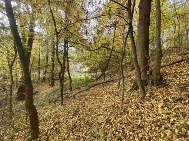 Prodej pozemku, Svijany, 2639 m2