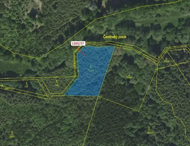 Dražba lesa, Čestín, 2055 m2