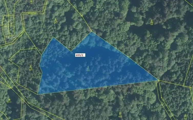 Dražba lesa, Lačnov, 7364 m2