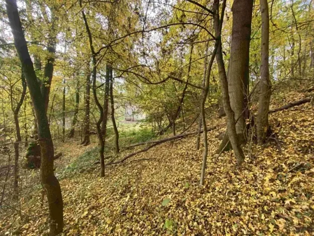 Dražba pozemku, Svijany, 2639 m2