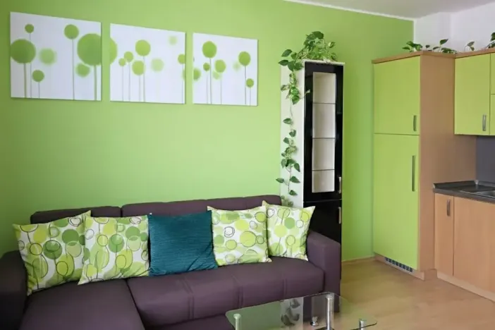 Pronájem bytu 2+kk, Brno, Netušilova, 42 m2