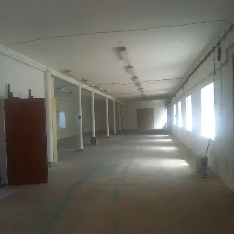 Prodej komerční nemovitosti, Pavlov, Lidická, 659 m2