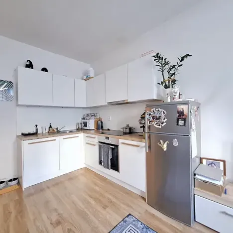 Pronájem bytu 2+kk, Praha, Rybalkova, 55 m2