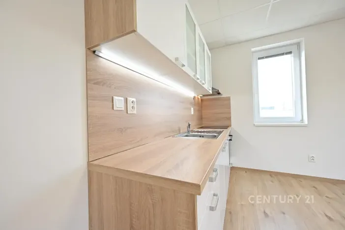 Pronájem bytu 2+kk, Plzeň, Tisová, 70 m2