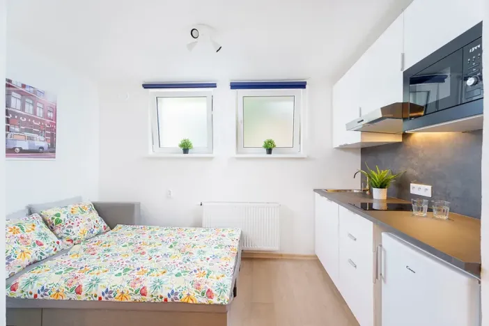 Prodej bytu 1+kk, Praha - Krč, Čerčanská, 18 m2