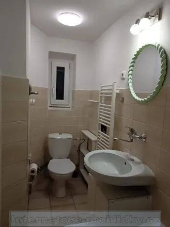 Pronájem bytu 1+1, Praha - Holyně, U vápenice, 40 m2