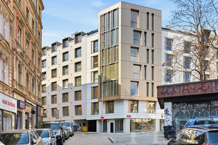 Pronájem bytu 1+kk, Praha - Vršovice, Krymská, 30 m2