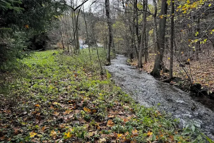 Prodej pozemku pro bydlení, Kounov, 1286 m2