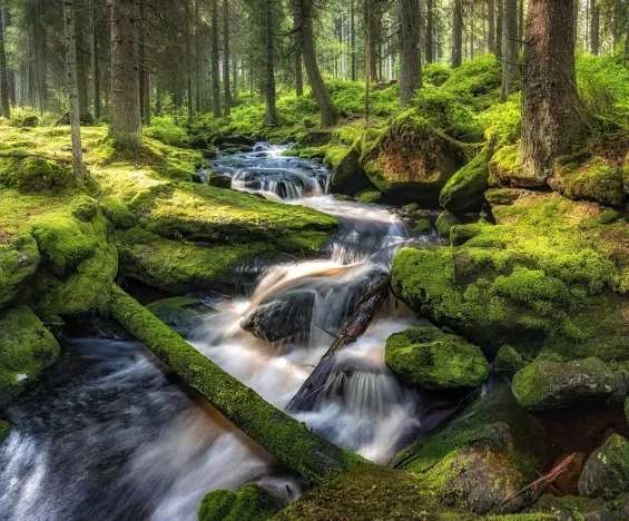 Prodej rodinného domu, Kvilda, 408 m2