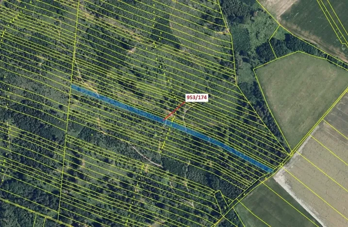 Dražba lesa, Nová Hradečná, 6275 m2