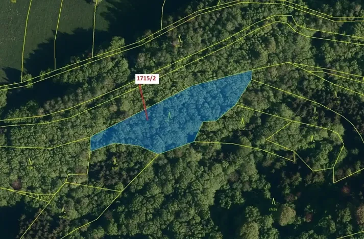 Dražba lesa, Valašská Polanka, 2632 m2