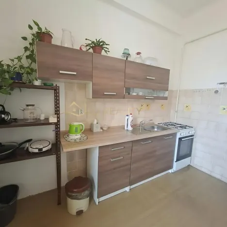 Pronájem bytu 1+1, Olomouc, Zeyerova, 40 m2