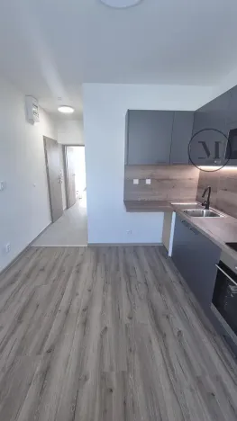 Pronájem bytu 1+1, České Budějovice, Novohradská, 33 m2